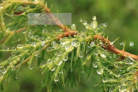 信用卡逾期了多久可以解除 信用卡逾期了多久可以解除
