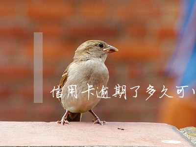 信用卡逾期了多久可以销户 信用卡逾期了多久可以销户