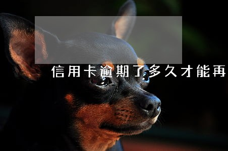 信用卡逾期了多久才能再还 信用卡逾期了多久才能再还
