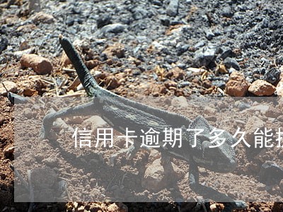 信用卡逾期了多久能提额