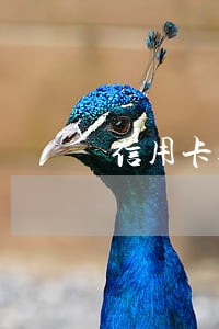 信用卡逾期了多久能消除记录