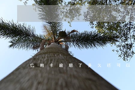 信用卡逾期了多久还可以再用