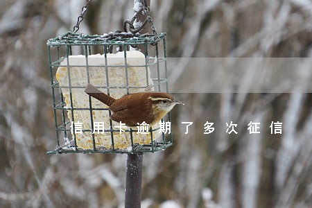 信用卡逾期了多次征信 信用卡逾期了多次征信