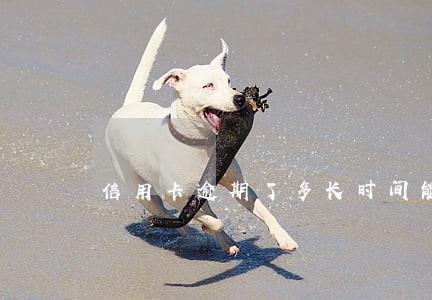 信用卡逾期了多长时间能解除 信用卡逾期了多长时间能解除