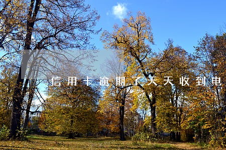 信用卡逾期了天天收到电话 信用卡逾期了天天收到电话