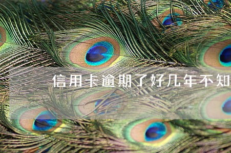 信用卡逾期了好几年不知道能和银行协商吗 信用卡逾期了好几年不知道能和银行协商吗