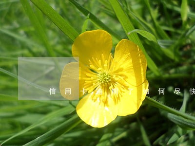 信用卡逾期了如何尽快消除