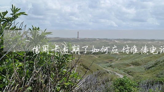 信用卡逾期了如何应付催债电话 信用卡逾期了如何应付催债电话