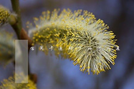 信用卡逾期了如何沟通 信用卡逾期了如何沟通