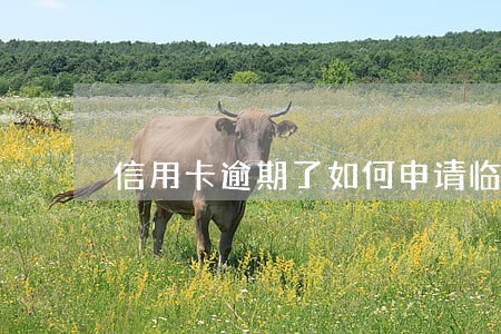 信用卡逾期了如何申请临时额度 信用卡逾期了如何申请临时额度