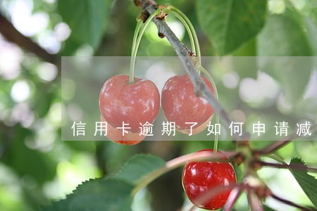 信用卡逾期了如何申请减免