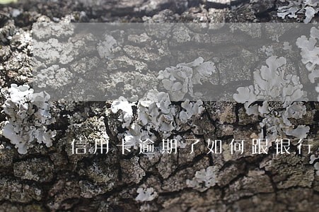 信用卡逾期了如何跟银行说 信用卡逾期了如何跟银行说