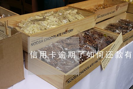 信用卡逾期了如何还款有效 信用卡逾期了如何还款有效