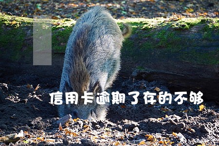 信用卡逾期了存的不够 信用卡逾期了存的不够