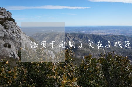 信用卡逾期了实在没钱还 信用卡逾期了实在没钱还