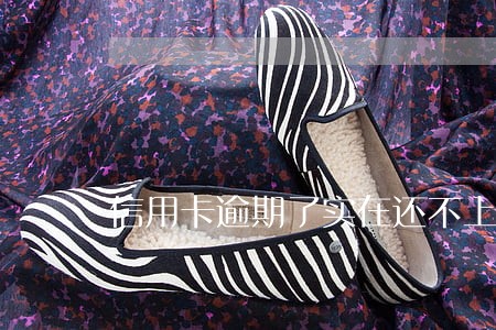 信用卡逾期了实在还不上咋办 信用卡逾期了实在还不上咋办