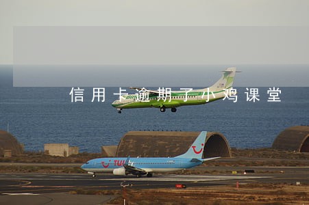 信用卡逾期了小鸡课堂
