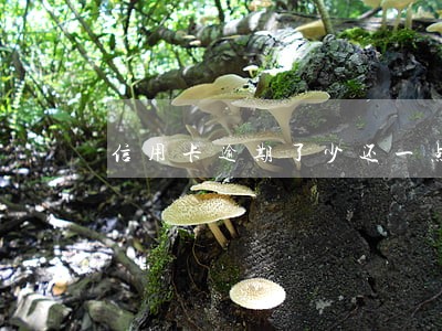 信用卡逾期了少还一点可以吗 信用卡逾期了少还一点可以吗