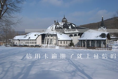 信用卡逾期了就上征信吗 信用卡逾期了就上征信吗