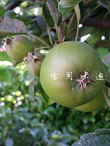 信用卡逾期了就上门吗