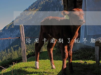 信用卡逾期了就不能分期了吗 信用卡逾期了就不能分期了吗