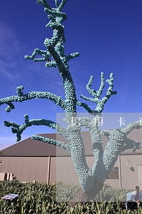 信用卡逾期了就是诈骗嘛 信用卡逾期了就是诈骗嘛