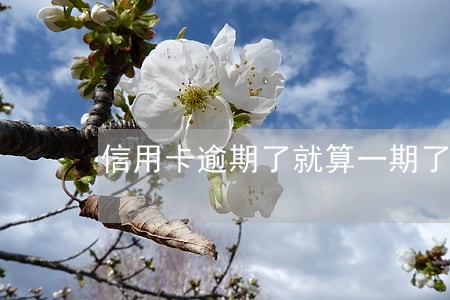 信用卡逾期了就算一期了吗 信用卡逾期了就算一期了吗