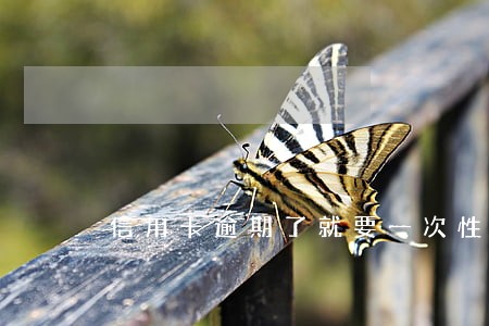 信用卡逾期了就要一次性全还吗 信用卡逾期了就要一次性全还吗