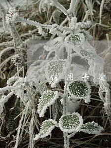 信用卡逾期了工资卡会冻结吗 信用卡逾期了工资卡会冻结吗