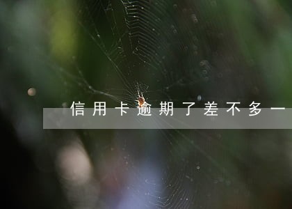 信用卡逾期了差不多一年了 信用卡逾期了差不多一年了