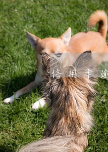 信用卡逾期了已经还上能注销么 信用卡逾期了已经还上能注销么