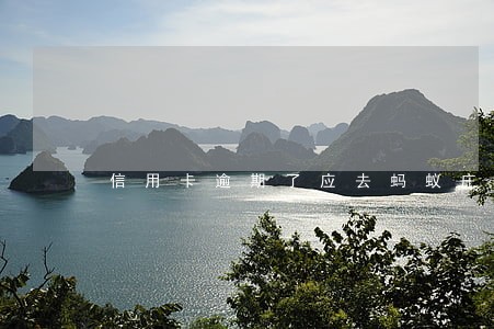 信用卡逾期了应去蚂蚁庄园 信用卡逾期了应去蚂蚁庄园