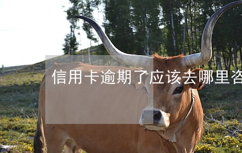 信用卡逾期了应该去哪里咨询