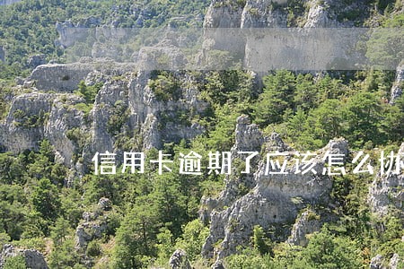 信用卡逾期了应该怎么协商 信用卡逾期了应该怎么协商