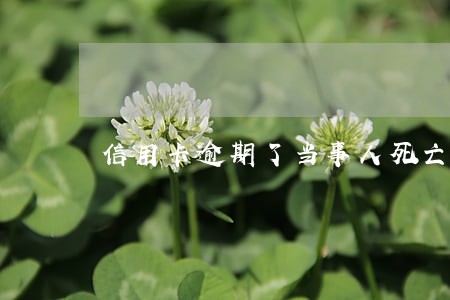 信用卡逾期了当事人死亡怎么办 信用卡逾期了当事人死亡怎么办