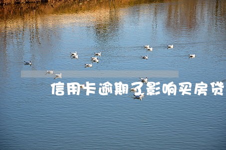 信用卡逾期了影响买房贷款吗 信用卡逾期了影响买房贷款吗