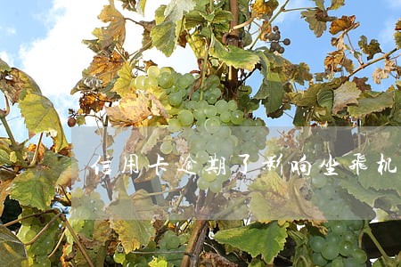 信用卡逾期了影响坐飞机吗 信用卡逾期了影响坐飞机吗