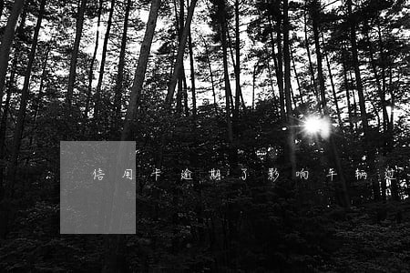 信用卡逾期了影响车辆过户吗 信用卡逾期了影响车辆过户吗