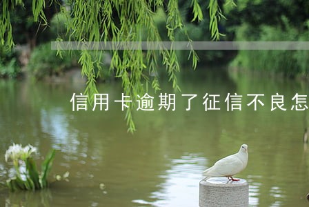 信用卡逾期了征信不良怎么办 信用卡逾期了征信不良怎么办