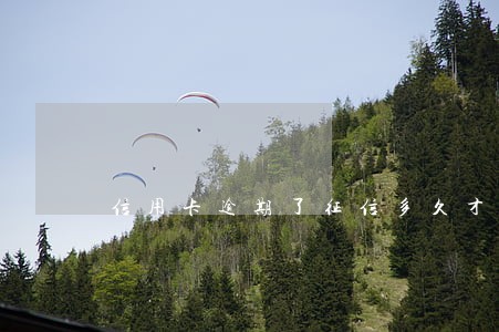 信用卡逾期了征信多久才正常 信用卡逾期了征信多久才正常