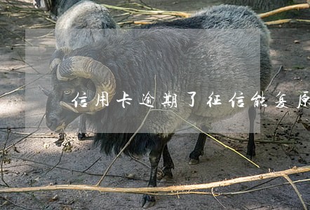 信用卡逾期了征信能复原吗 信用卡逾期了征信能复原吗