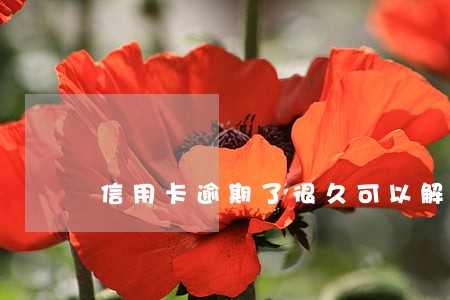 信用卡逾期了很久可以解冻吗 信用卡逾期了很久可以解冻吗
