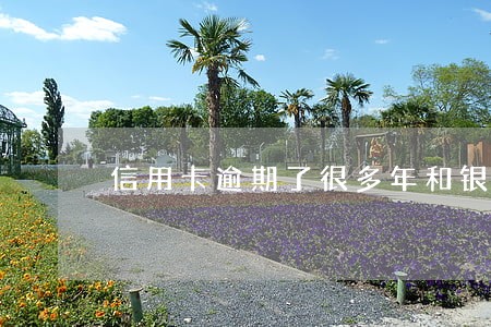 信用卡逾期了很多年和银行协商 信用卡逾期了很多年和银行协商