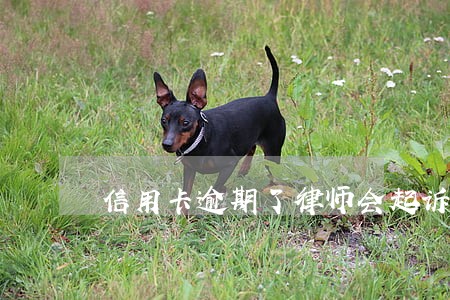 信用卡逾期了律师会起诉吗 信用卡逾期了律师会起诉吗