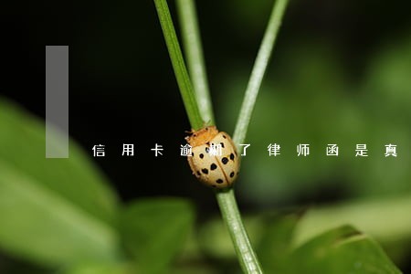 信用卡逾期了律师函是真的