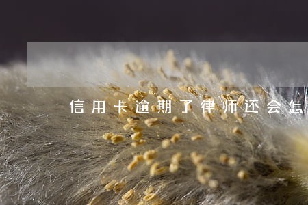 信用卡逾期了律师还会怎样 信用卡逾期了律师还会怎样