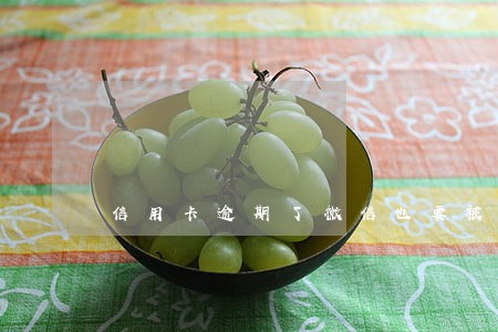 信用卡逾期了微信也要被冻结吗 信用卡逾期了微信也要被冻结吗