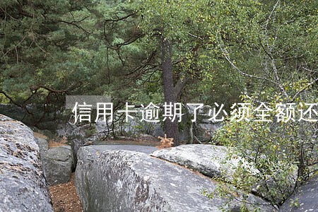 信用卡逾期了必须全额还 信用卡逾期了必须全额还