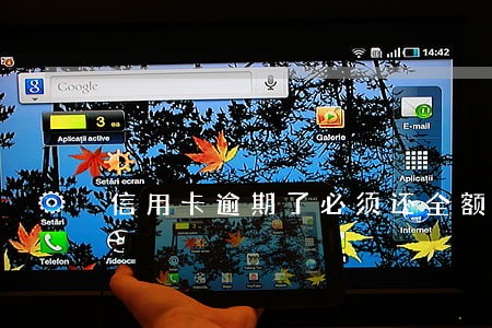 信用卡逾期了必须还全额吗 信用卡逾期了必须还全额吗