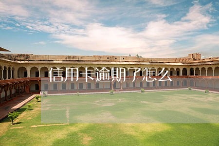信用卡逾期了怎么 信用卡逾期了怎么